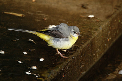 BUITEN BEELD Foto: 404730