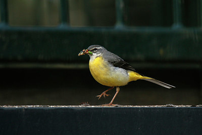 BUITEN BEELD Foto: 404734