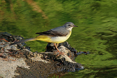 BUITEN BEELD Foto: 404737