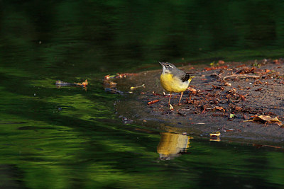 BUITEN BEELD Foto: 404740