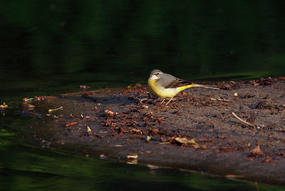 BUITEN BEELD Foto: 404741