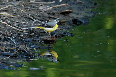 BUITEN BEELD Foto: 404742