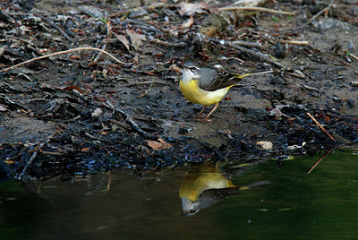 BUITEN BEELD Foto: 404743