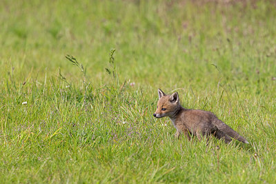 BUITEN BEELD Foto: 404772