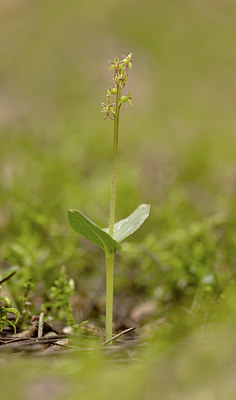 BUITEN BEELD Foto: 404842