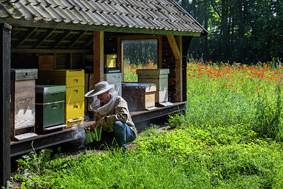 BUITEN BEELD Foto: 405021