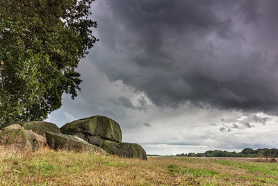 BUITEN BEELD Foto: 405060