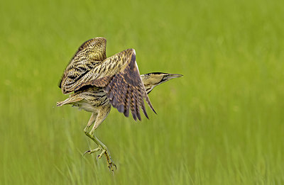 BUITEN BEELD Foto: 405068