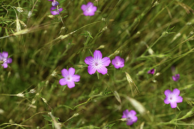 BUITEN BEELD Foto: 405080