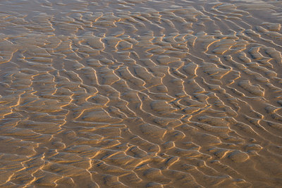 BUITEN BEELD Foto: 405181