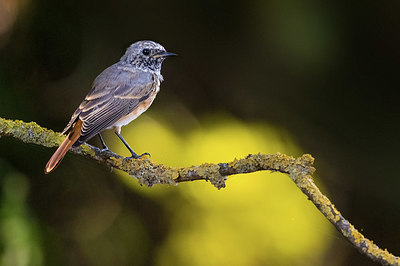 BUITEN BEELD Foto: 405341