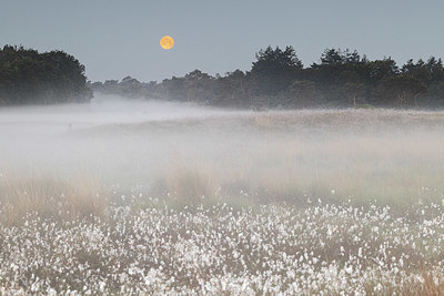 BUITEN BEELD Foto: 405711