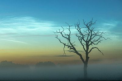 BUITEN BEELD Foto: 405720