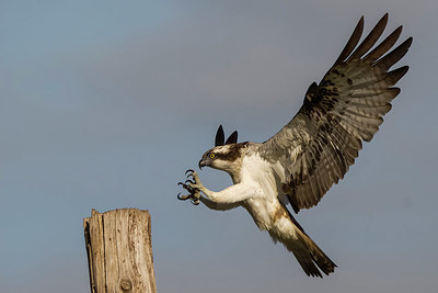 BUITEN BEELD Foto: 405758