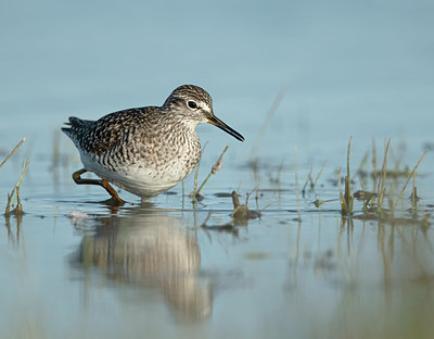 BUITEN BEELD Foto: 405780