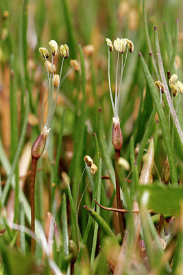 BUITEN BEELD Foto: 405814