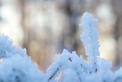 BUITEN BEELD Foto: 405845