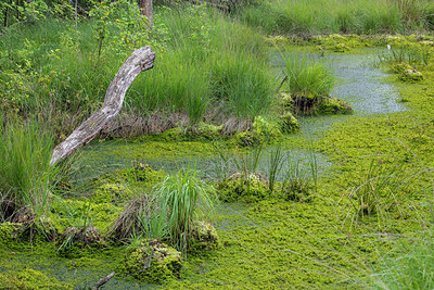 BUITEN BEELD Foto: 406153