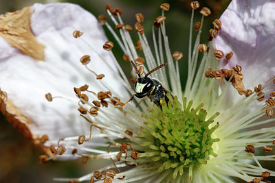 BUITEN BEELD Foto: 406173