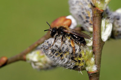 BUITEN BEELD Foto: 406175