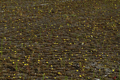 BUITEN BEELD Foto: 406194