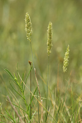 BUITEN BEELD Foto: 406201