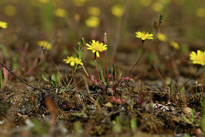 BUITEN BEELD Foto: 406224