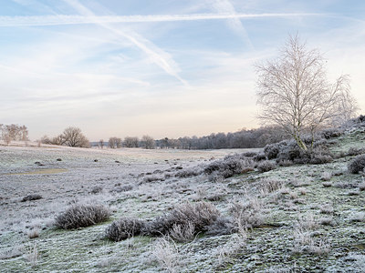 BUITEN BEELD Foto: 406287