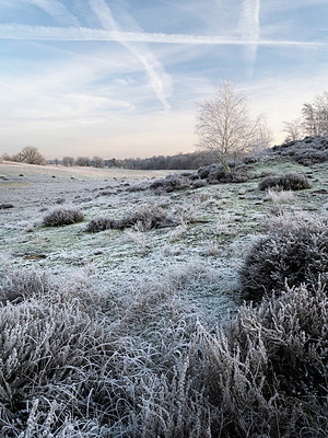 BUITEN BEELD Foto: 406288