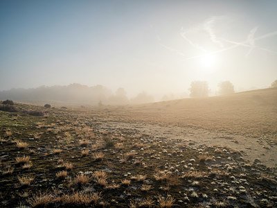 BUITEN BEELD Foto: 406290