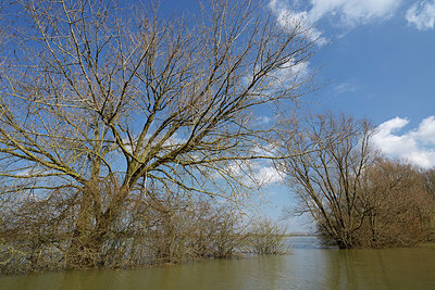 BUITEN BEELD Foto: 406371