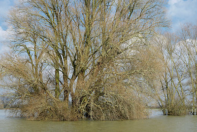 BUITEN BEELD Foto: 406372