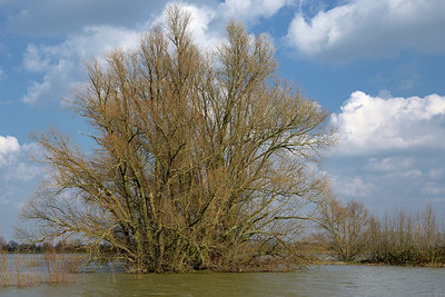 BUITEN BEELD Foto: 406373