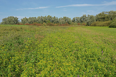 BUITEN BEELD Foto: 406460