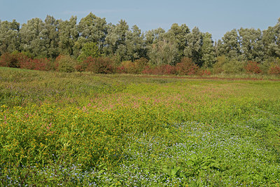 BUITEN BEELD Foto: 406463