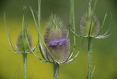 BUITEN BEELD Foto: 406478