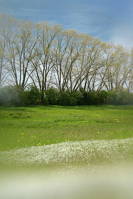 BUITEN BEELD Foto: 406484