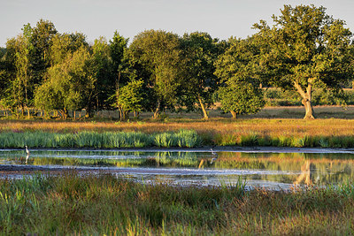 BUITEN BEELD Foto: 406582