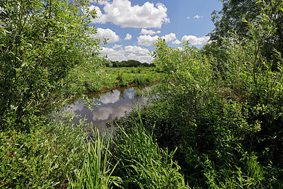 BUITEN BEELD Foto: 406737