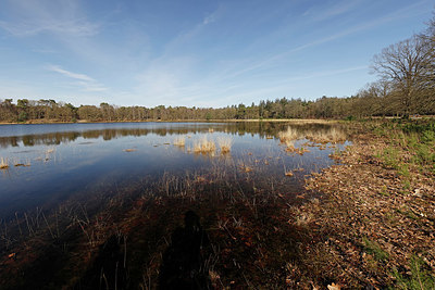 BUITEN BEELD Foto: 406745