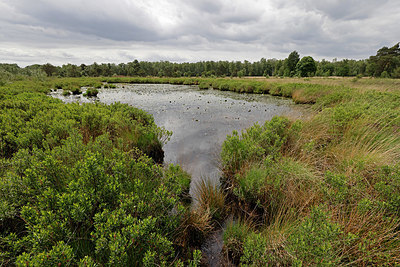 BUITEN BEELD Foto: 406751