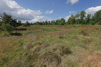 BUITEN BEELD Foto: 406754