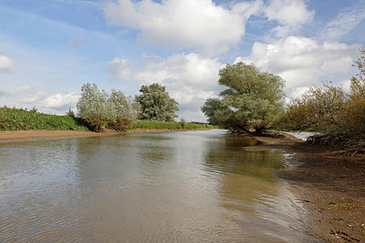BUITEN BEELD Foto: 406768
