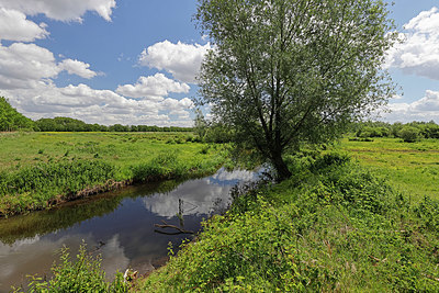 BUITEN BEELD Foto: 406774