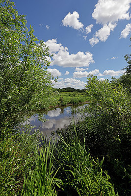 BUITEN BEELD Foto: 406780