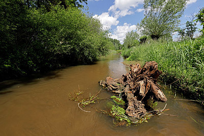 BUITEN BEELD Foto: 406781