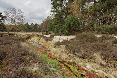 BUITEN BEELD Foto: 406782