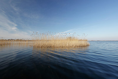 BUITEN BEELD Foto: 406783