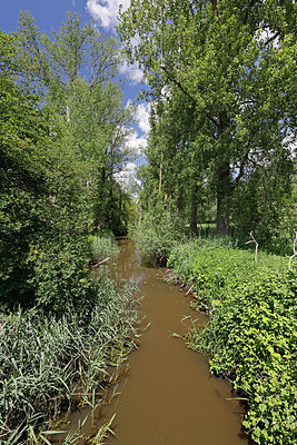 BUITEN BEELD Foto: 406786