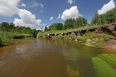 BUITEN BEELD Foto: 406787